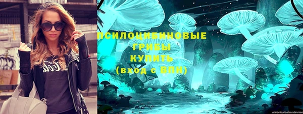 молекула духа Балахна