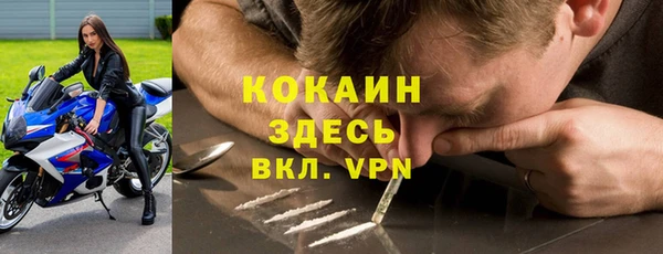 ПСИЛОЦИБИНОВЫЕ ГРИБЫ Баксан