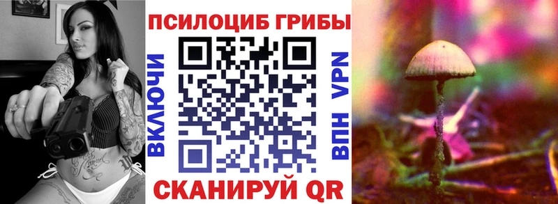 Псилоцибиновые грибы ЛСД  мега вход  Среднеколымск  купить закладку 